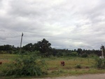 55798CIMG6416.JPG