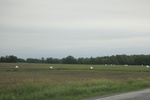 2022-06-11_17-39-05_7CE721B4-8179-456B-BB81-A33A7810BA3C.jpeg