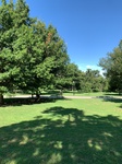 2020-08-19_11-48-44_2020-8-19-10-17-45.jpg