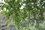 2019-10-15_12-34-17_4E8A2136.JPG