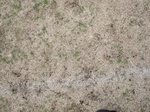 9784IMG_0061.JPG