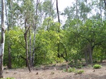 1715119042008(67).JPG