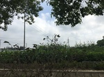 2017-09-12_10-56-02_872F4776-172D-43AC-A63D-399587A40A2E.jpg