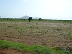 19303P1010149.JPG
