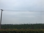 2017-09-12_10-25-08_894CE00B-661B-48D8-8710-BE3F66F85644.jpg