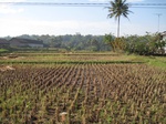 15373IMG_4221.JPG