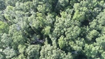 2017-06-12_13-57-37_DJI_0013.jpg