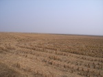4641RIMG0069-1.JPG