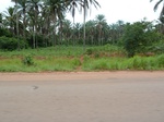 21033P1020904.JPG