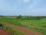 19708P1010557.JPG