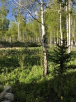2018-05-27_08-40-05_CA1D22A9-9F76-4DE8-830B-90FAE34F0DBB.jpg