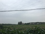 2017-09-10_06-50-56_BE55B8B8-C110-4964-AA51-A9BC68A787AA.jpg