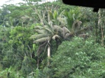 16334IMG_5112.JPG