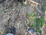 2012-09-24_10-40-12_DSC03087.JPG