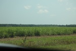 2022-06-11_17-54-57_92A27181-1F0F-4786-A71D-B3219DDFD4F6.jpeg