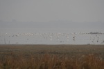 4215IMG_8853.JPG