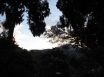 13614IMG_3871.JPG