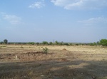 514222042008(83).JPG