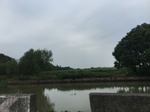 2017-09-12_10-47-19_E4E677F0-F40A-4931-A269-0510E39443F6.jpg