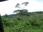20647P1020504.JPG