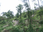 3764RIMG0068.JPG