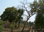 474401052008(11).JPG