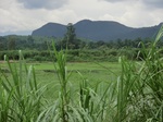 2012-09-07_10-07-10_CIMG6656.JPG