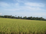 14177IMG_4514.JPG