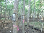 2012-09-21_16-12-34_CIMG2991.JPG