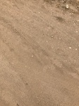 2017-09-25_07-15-01_D.JPG