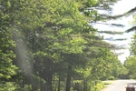 2022-06-12_15-03-11_EF92105D-E087-4712-A327-C7CA687F766A.jpeg