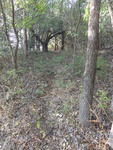 2012-09-24_10-40-21_DSC03083.JPG