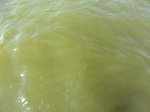 2012-09-21_14-26-18_CIMG0020.JPG