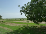 19248P1010094.JPG