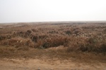 4108IMG_8743.JPG