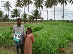 85716398089c-irrigated-supplemental-groundwater-tubewell-mixedcrop-sugarcane-turmeric-maize-ladyfinger.jpg