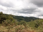 5529100_0903.JPG