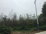 2017-09-11_22-14-41_5D09F929-E9CB-450A-923F-68F8563B05CC.jpg