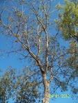 2012-09-28_22-48-24_TX-ER-4-8.JPG