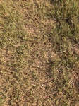 2020-08-03_21-12-13_2020-7-29-17-30-45.jpg