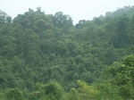 2012-09-08_19-26-18_RIMG0116.JPG