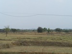 475001052008(17).JPG