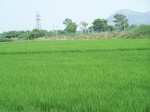 17586100_2523.JPG