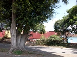 5587100_0990.JPG