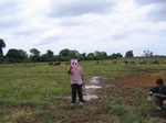 820806-cropland-rice-supplimental-iirigationa.jpg