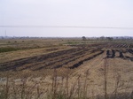 3293R0017327.JPG