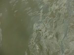 58590CIMG3040.JPG
