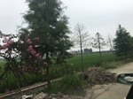 2017-09-10_07-08-43_A9DE7927-6877-4B2A-A3BC-13E072F58086.jpg