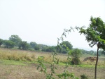 1773423042008(23).JPG