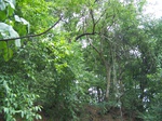 540910052008(16).JPG